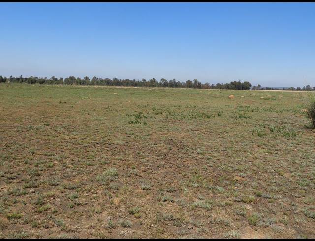 115,300M² VACANT LAND FOR SALE IN DE DEUR